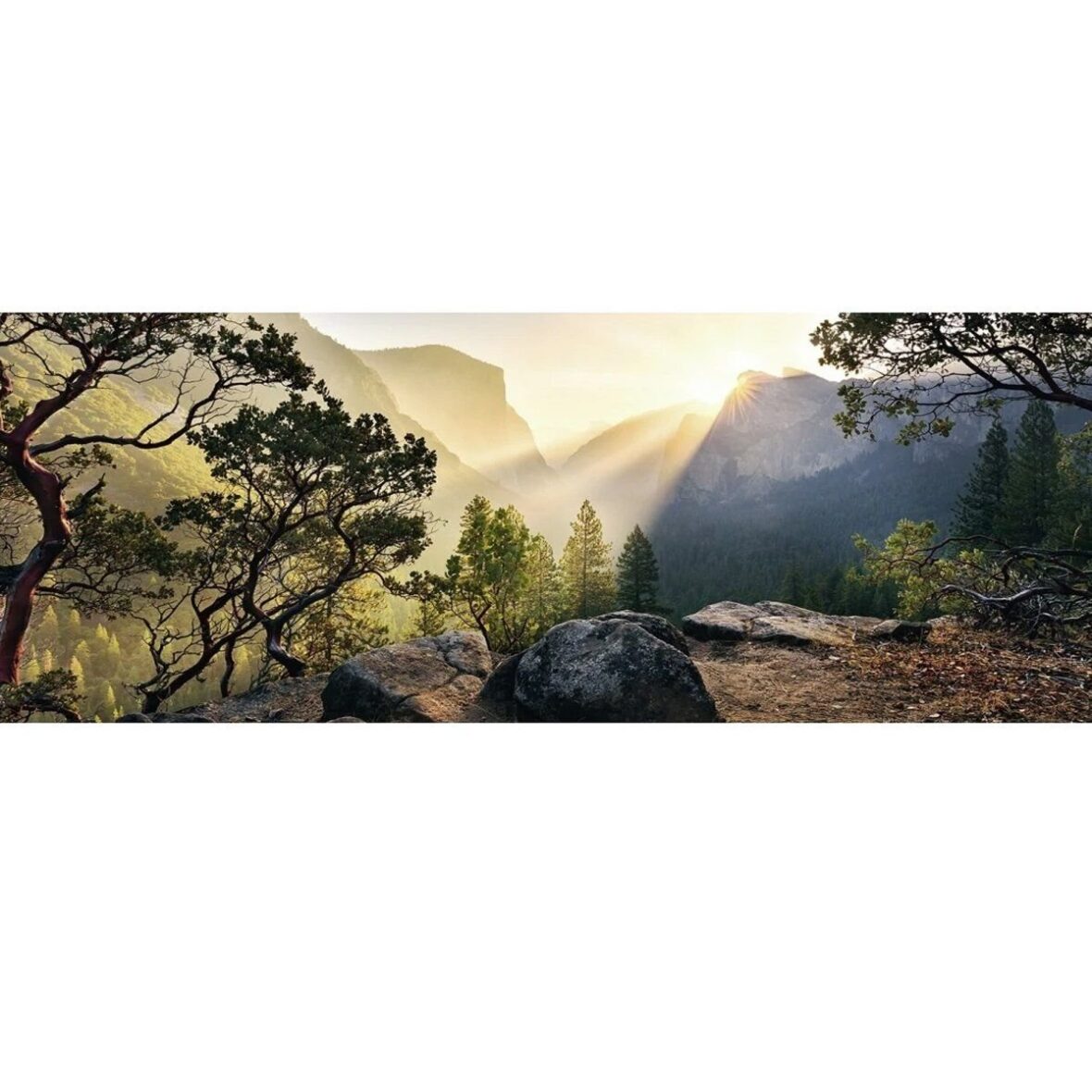 Yosemite Parkı