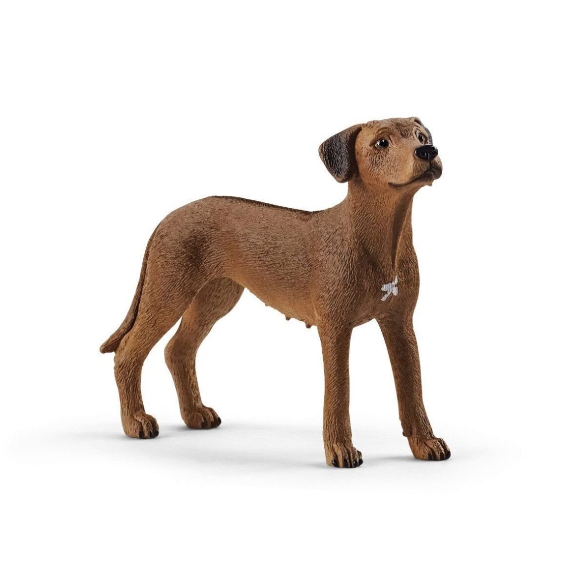 13895 Schleich – Rodezya Ridgeback Köpek +3 yaş